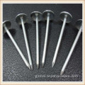 Iron Nail Supplies Whole Sales Construction Smooth Head Round Iron Nail Supplier